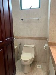 Tanglin Regency (D10), Condominium #504731421